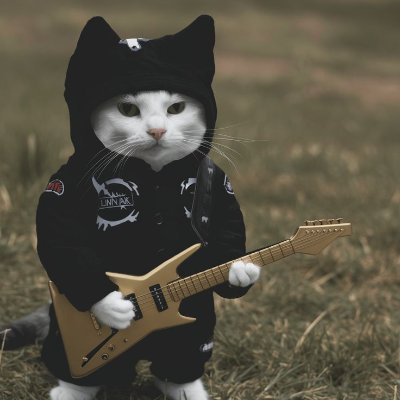 MEOWTALLICA